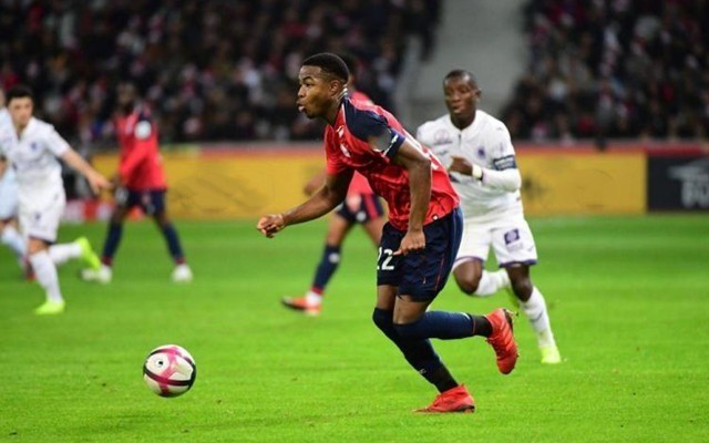 亞年輕一代 亞年輕一代