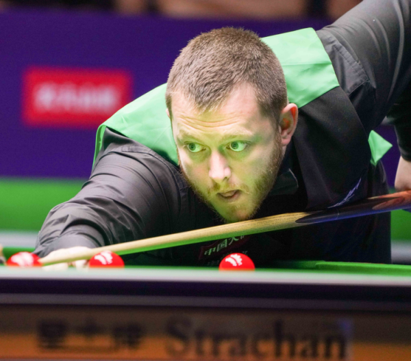 不仅是一句 不仅是一句