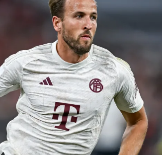 不是花了多 不是花了多